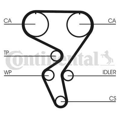 Timing Belt